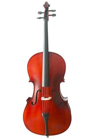 Buy Wholesale Stringman® Model SRC1001 Beginner Level Solid Spruce & Maple Cello Different Sizes with Accessories