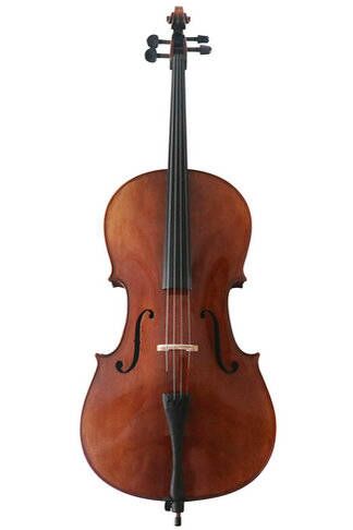 Model SRC1004 Professional Level Solid Spruce & Maple Bright Painting with Wood Grains Cello Different Sizes with Accessories